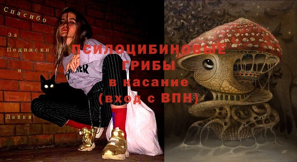 дурь Бронницы