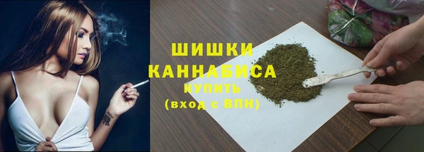 таблы Бородино