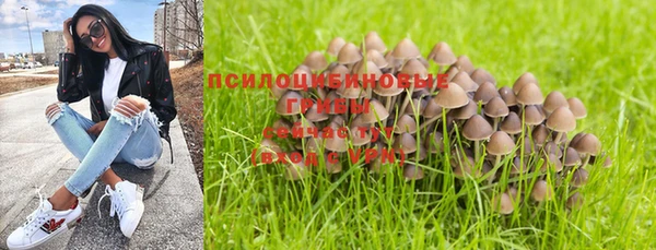 бошки Бугульма