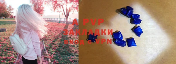 таблы Бородино
