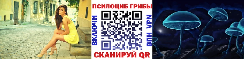 купить наркотики цена  Абакан  Галлюциногенные грибы GOLDEN TEACHER 
